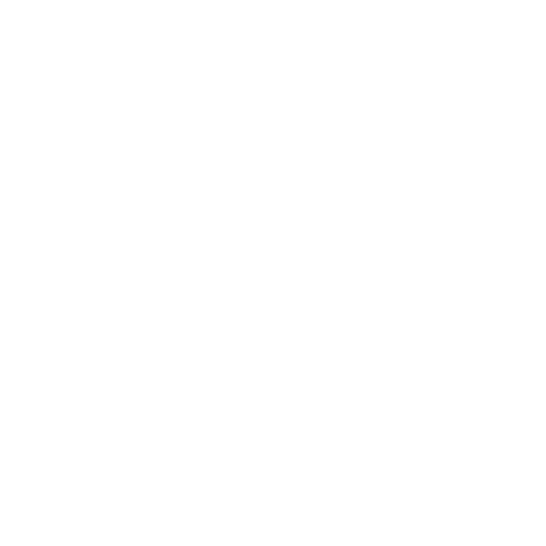 United Uyghur Youth logo
